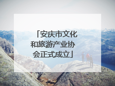 安庆市文化和旅游产业协会正式成立