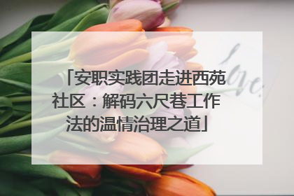 安职实践团走进西苑社区：解码六尺巷工作法的温情治理之道