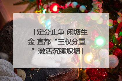 定分止争 闲塘生金 宜都“三权分置”激活沉睡堰塘