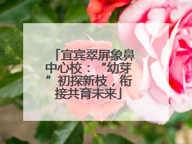 宜宾翠屏象鼻中心校：“幼芽”初探新枝，衔接共育未来