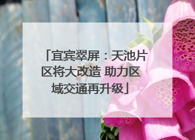 宜宾翠屏：天池片区将大改造 助力区域交通再升级