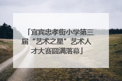 宜宾忠孝街小学第三届“艺术之星”艺术人才大赛圆满落幕