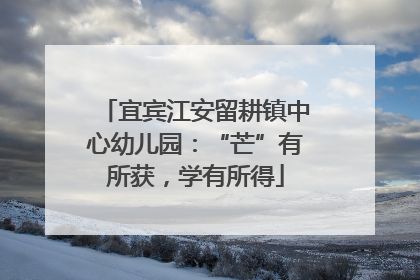 宜宾江安留耕镇中心幼儿园：“芒”有所获，学有所得