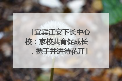 宜宾江安下长中心校：家校共育促成长，携手并进待花开