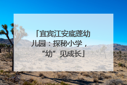 宜宾江安底蓬幼儿园：探秘小学，“幼”见成长