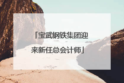 宝武钢铁集团迎来新任总会计师