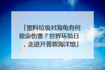 塑料垃圾对海龟有何致命伤害？世界环境日，走进开普敦海洋馆