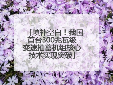 填补空白！我国首台300兆瓦级变速抽蓄机组核心技术实现突破