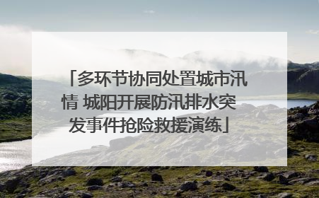 多环节协同处置城市汛情 城阳开展防汛排水突发事件抢险救援演练