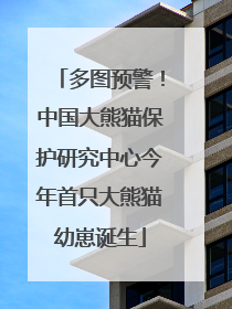 多图预警！中国大熊猫保护研究中心今年首只大熊猫幼崽诞生