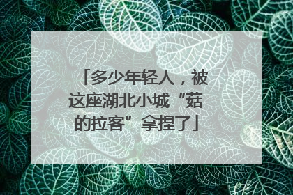多少年轻人，被这座湖北小城“菇的拉客”拿捏了