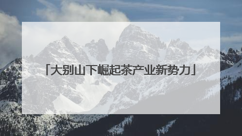 大别山下崛起茶产业新势力