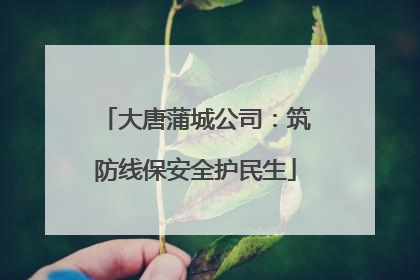 大唐蒲城公司：筑防线保安全护民生