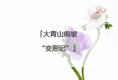 大青山前坡“变形记”
