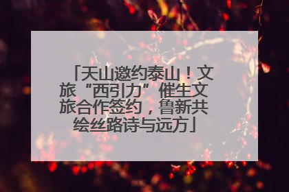 天山邀约泰山！文旅“西引力”催生文旅合作签约，鲁新共绘丝路诗与远方