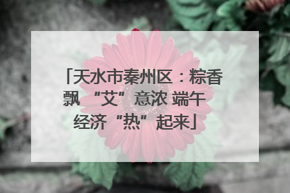 天水市秦州区：粽香飘 “艾”意浓 端午经济“热”起来