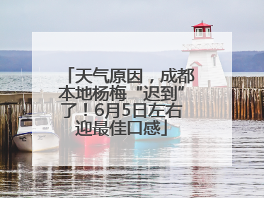 天气原因，成都本地杨梅“迟到”了！6月5日左右迎最佳口感