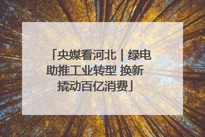 央媒看河北｜绿电助推工业转型 换新撬动百亿消费
