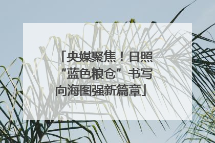 央媒聚焦！日照“蓝色粮仓”书写向海图强新篇章