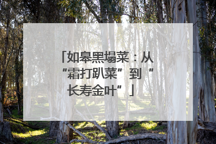 如皋黑塌菜：从“霜打趴菜”到“长寿金叶”
