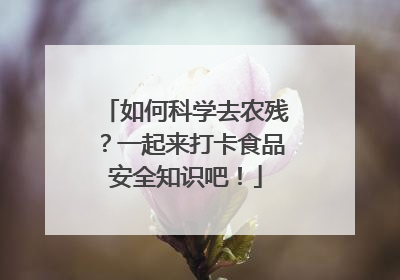 如何科学去农残？一起来打卡食品安全知识吧！