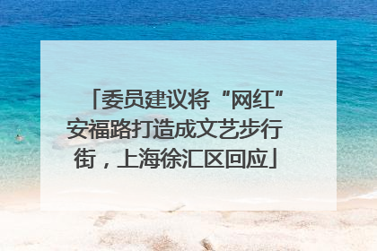 委员建议将“网红”安福路打造成文艺步行街，上海徐汇区回应