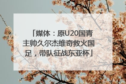 媒体：原U20国青主帅久尔杰维奇救火国足，带队征战东亚杯