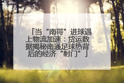 当“南哥”进球遇上物流加速：货运数据揭秘南通足球热背后的经济“射门”