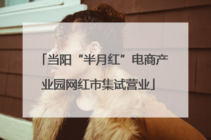 当阳“半月红”电商产业园网红市集试营业