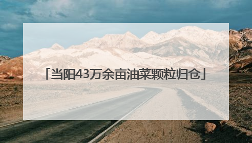 当阳43万余亩油菜颗粒归仓