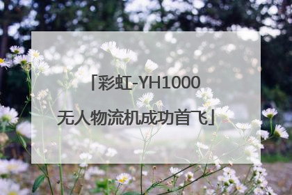 彩虹-YH1000无人物流机成功首飞