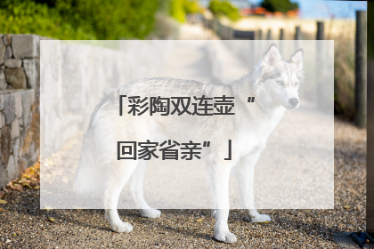 彩陶双连壶“回家省亲”
