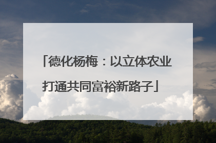 德化杨梅：以立体农业打通共同富裕新路子