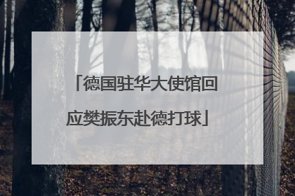 德国驻华大使馆回应樊振东赴德打球