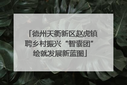 德州天衢新区赵虎镇聘乡村振兴“智囊团” 绘就发展新蓝图