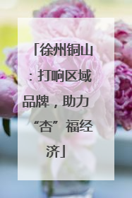 徐州铜山：打响区域品牌，助力“杏”福经济