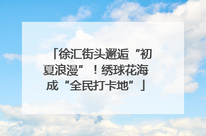 徐汇街头邂逅“初夏浪漫”！绣球花海成“全民打卡地”