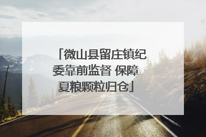 微山县留庄镇纪委靠前监督 保障夏粮颗粒归仓