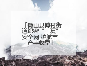 微山县傅村街道织密“三夏”安全网 护航丰产丰收季