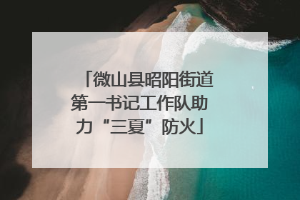 微山县昭阳街道第一书记工作队助力“三夏”防火