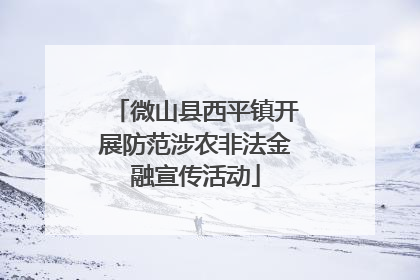 微山县西平镇开展防范涉农非法金融宣传活动
