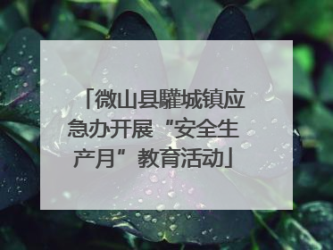 微山县驩城镇应急办开展“安全生产月”教育活动