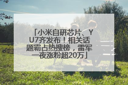 小米自研芯片、YU7齐发布！相关话题霸占热搜榜，雷军一夜涨粉超20万