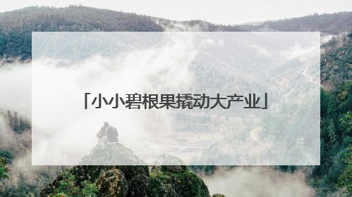 小小碧根果撬动大产业