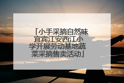 小手采摘自然味 宜宾江安西江小学开展劳动基地蔬菜采摘售卖活动