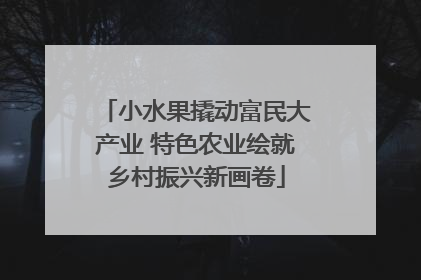 小水果撬动富民大产业 特色农业绘就乡村振兴新画卷