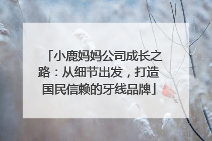 小鹿妈妈公司成长之路：从细节出发，打造国民信赖的牙线品牌