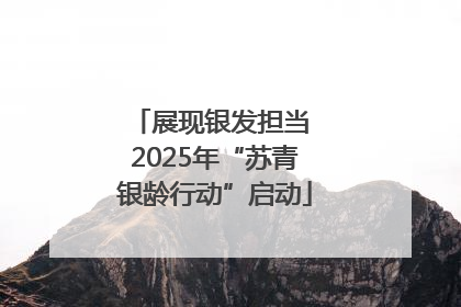 展现银发担当 2025年“苏青银龄行动”启动
