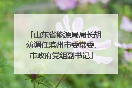 山东省能源局局长胡薄调任滨州市委常委、市政府党组副书记