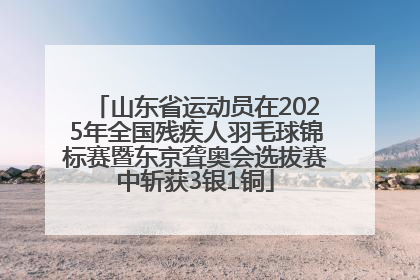 山东省运动员在2025年全国残疾人羽毛球锦标赛暨东京聋奥会选拔赛中斩获3银1铜